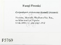 登錄號:F0005769藏品圖，第2張