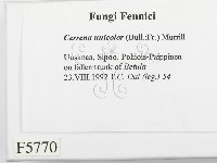 登錄號:F0005770藏品圖，第2張