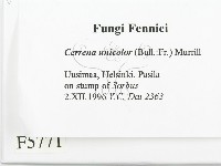 登錄號:F0005771藏品圖，第2張