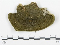 登錄號:F0005771藏品圖，第1張