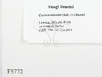 登錄號:F0005772藏品圖，第2張