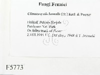 登錄號:F0005773藏品圖，第2張