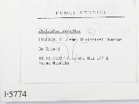 登錄號:F0005774藏品圖，第2張