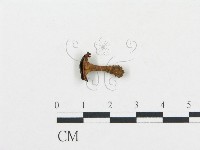 登錄號:F0005774藏品圖，第1張