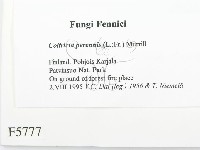 登錄號:F0005777藏品圖，第2張