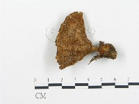登錄號:F0005777藏品圖，第3張