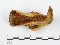 登錄號:F0005779藏品圖，第1張