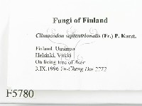 登錄號:F0005780藏品圖，第2張