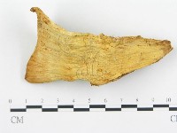 登錄號:F0005780藏品圖，第1張