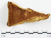 登錄號:F0005780藏品圖，第3張