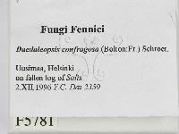 登錄號:F0005781藏品圖，第2張