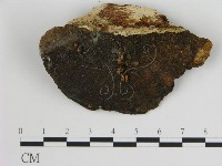 登錄號:F0005781藏品圖，第3張