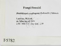 登錄號:F0005782藏品圖，第2張