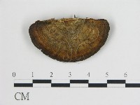 登錄號:F0005782藏品圖，第3張