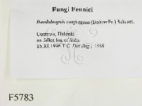 登錄號:F0005783藏品圖，第2張