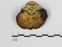 登錄號:F0005784藏品圖，第3張