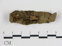 登錄號:F0005785藏品圖，第1張