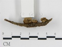 登錄號:F0005785藏品圖，第3張