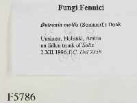 登錄號:F0005786藏品圖，第2張