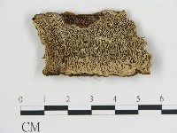 登錄號:F0005786藏品圖，第1張