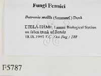 登錄號:F0005787藏品圖，第2張