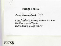 登錄號:F0005788藏品圖，第2張