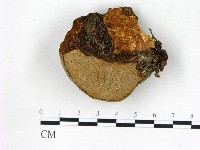 登錄號:F0005789藏品圖，第3張