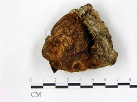 登錄號:F0005790藏品圖，第3張