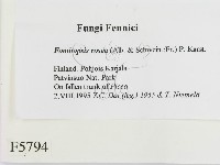 登錄號:F0005794藏品圖，第2張