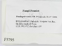 登錄號:F0005795藏品圖，第2張