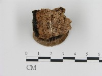 登錄號:F0005795藏品圖，第3張