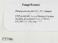 登錄號:F0005796藏品圖，第2張