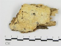 登錄號:F0005796藏品圖，第1張