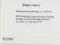 登錄號:F0005797藏品圖，第2張