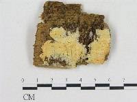 登錄號:F0005797藏品圖，第1張