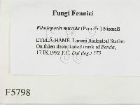 登錄號:F0005798藏品圖，第2張