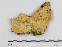 登錄號:F0005798藏品圖，第1張