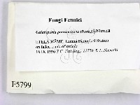 登錄號:F0005799藏品圖，第2張