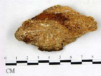 登錄號:F0005799藏品圖，第3張