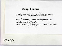 登錄號:F0005800藏品圖，第2張