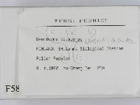 登錄號:F0005802藏品圖，第2張