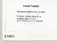 登錄號:F0005803藏品圖，第2張