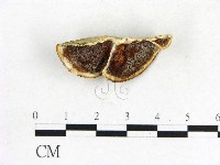 登錄號:F0005803藏品圖，第1張