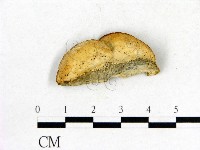 登錄號:F0005803藏品圖，第3張