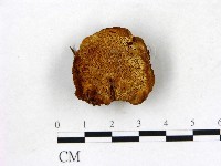 登錄號:F0005804藏品圖，第1張