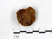 登錄號:F0005804藏品圖，第3張