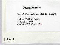 登錄號:F0005805藏品圖，第2張