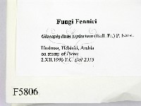 登錄號:F0005806藏品圖，第2張