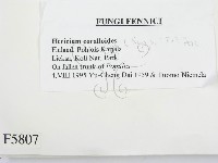 登錄號:F0005807藏品圖，第2張