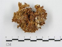 登錄號:F0005807藏品圖，第3張